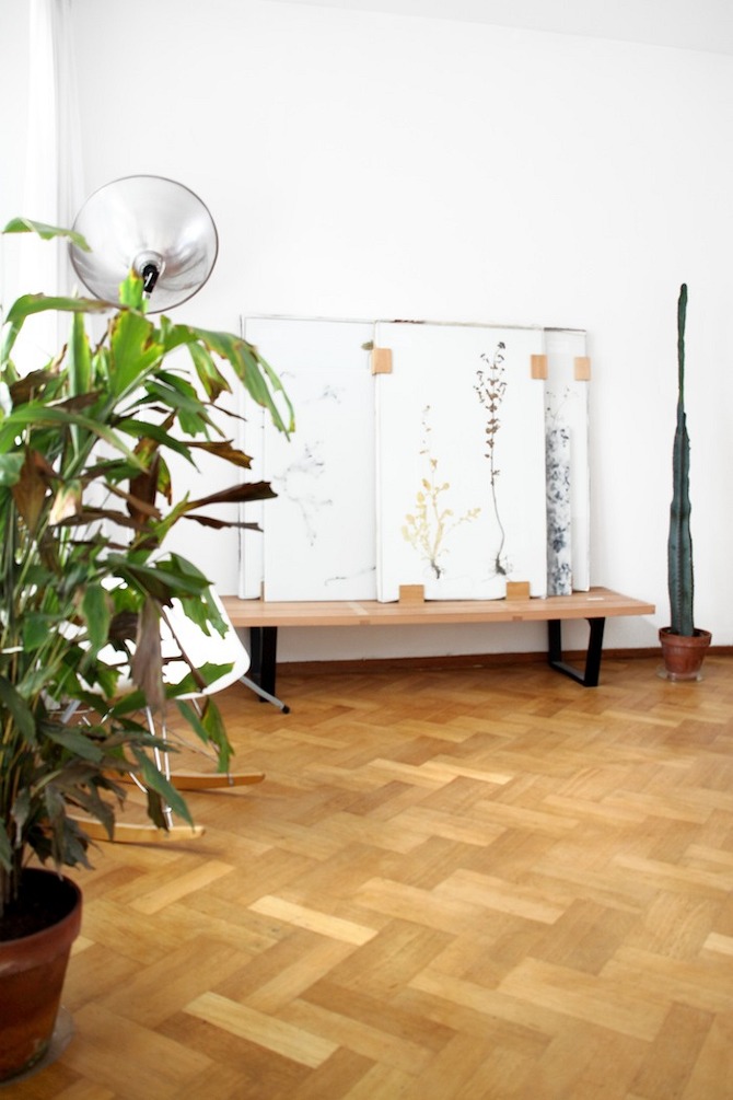 Collection at Home by Studio Maarten Kolk & Guus Kusters in THISISPAPER MAGAZINE Collection%20at%20Home%20Herbaria %20Waddenzee%20Herbaria%2001 Collection at Home by Studio Maarten Kolk & Guus Kusters in THISISPAPER MAGAZINE